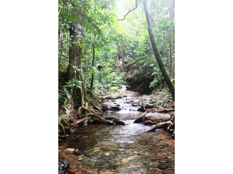 Lot 516 Silver Ash Road COW BAY, Daintree QLD 4873