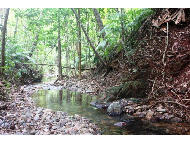 Lot 516 Silver Ash Road COW BAY, Daintree QLD 4873
