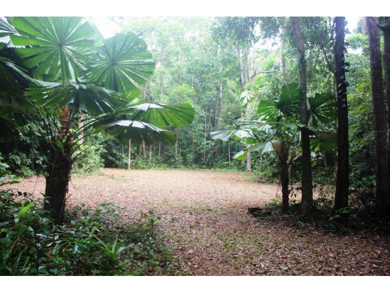 Lot 516 Silver Ash Road COW BAY, Daintree QLD 4873