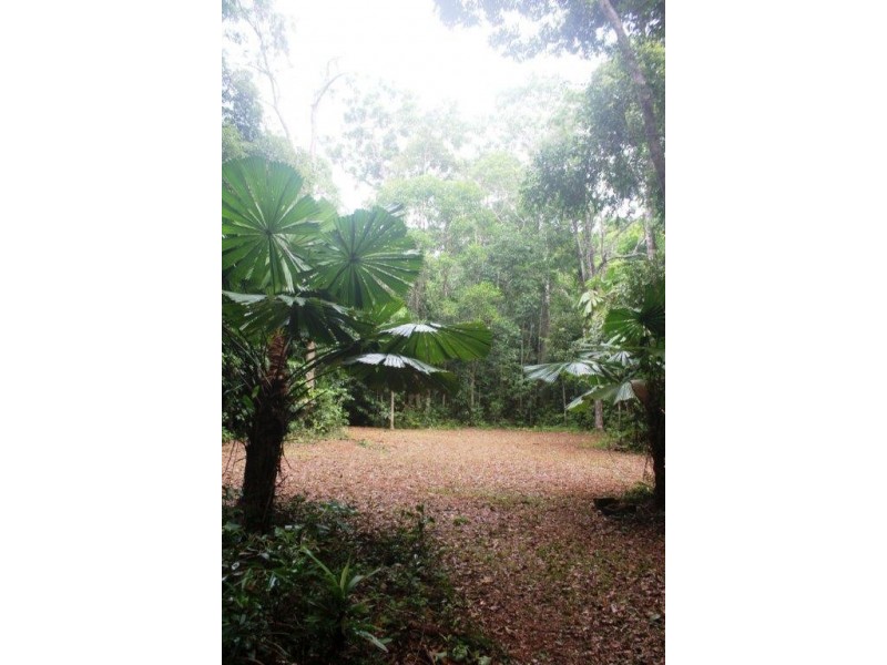 Lot 516 Silver Ash Road COW BAY, Daintree QLD 4873