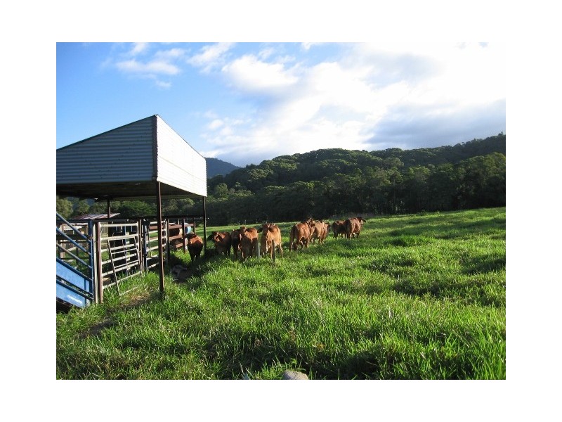 76 Carr Road, Julatten QLD 4871