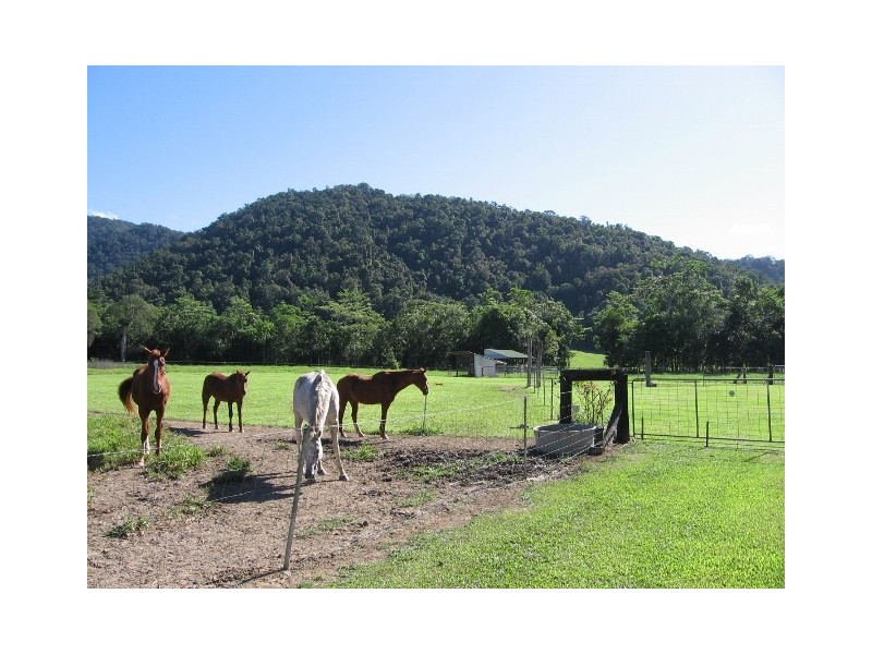 76 Carr Road, Julatten QLD 4871