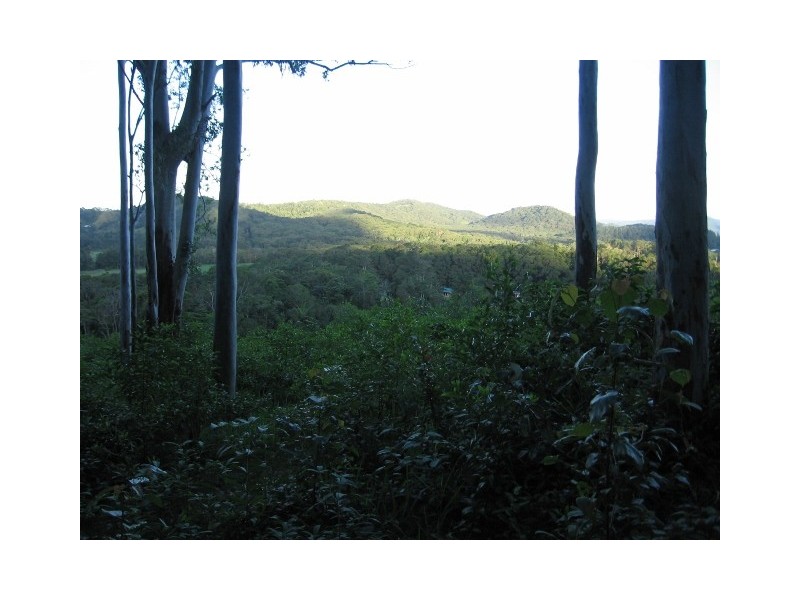 76 Carr Road, Julatten QLD 4871