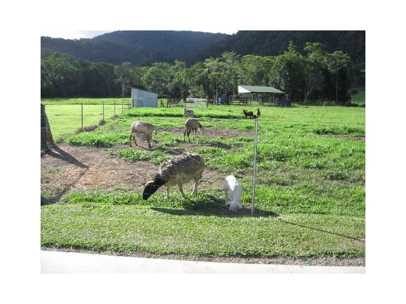 76 Carr Road, Julatten QLD 4871