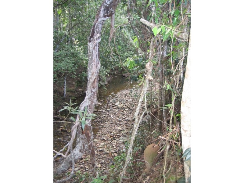 76 Carr Road, Julatten QLD 4871