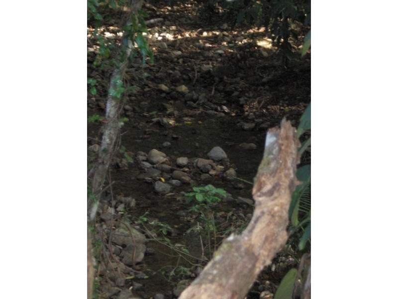 76 Carr Road, Julatten QLD 4871