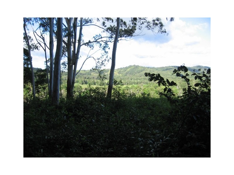 76 Carr Road, Julatten QLD 4871