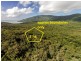 233 White Beech Rd, Daintree QLD 4873