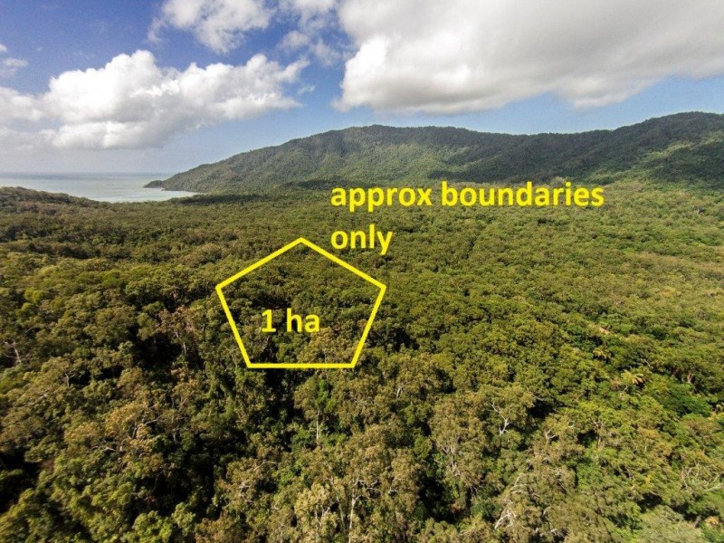 233 White Beech Rd, Daintree QLD 4873