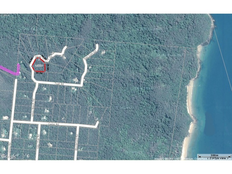 233 White Beech Rd, Daintree QLD 4873