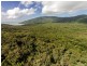 233 White Beech Rd, Daintree QLD 4873