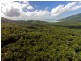 233 White Beech Rd, Daintree QLD 4873