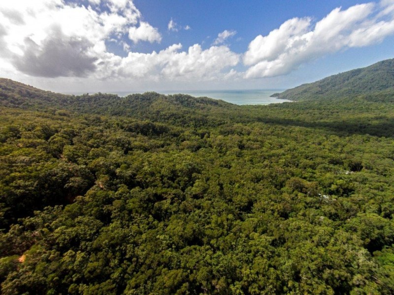 233 White Beech Rd, Daintree QLD 4873
