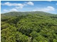 233 White Beech Rd, Daintree QLD 4873