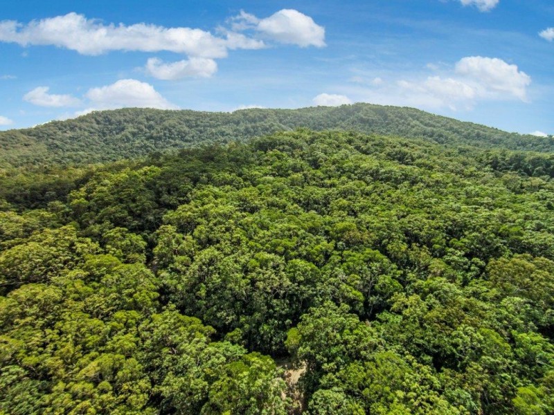 233 White Beech Rd, Daintree QLD 4873