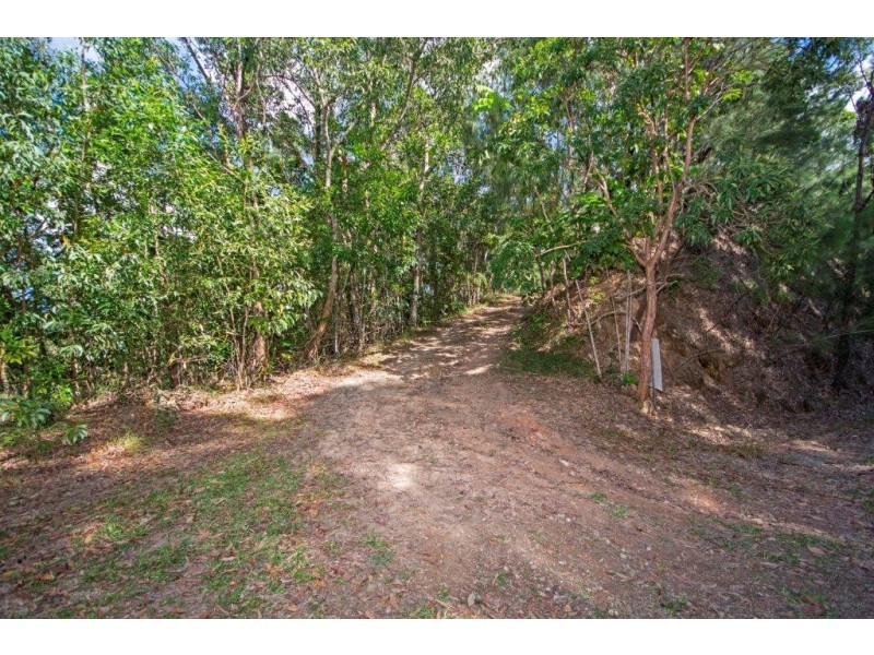 233 White Beech Rd, Daintree QLD 4873