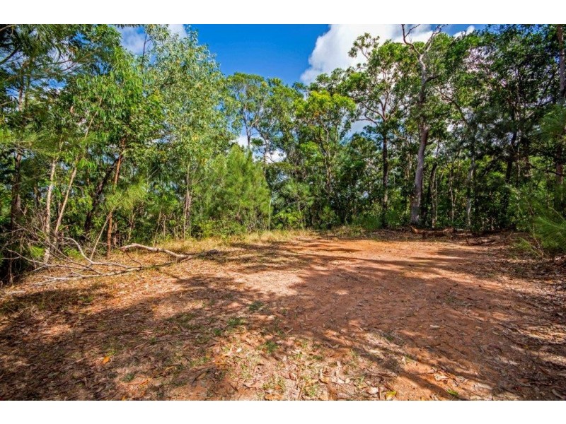 233 White Beech Rd, Daintree QLD 4873