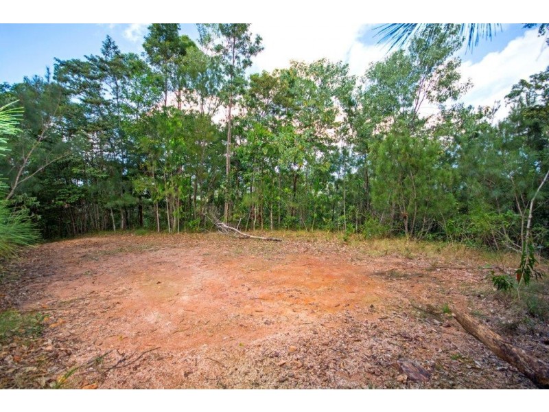 233 White Beech Rd, Daintree QLD 4873