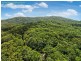 233 White Beech Rd, Daintree QLD 4873