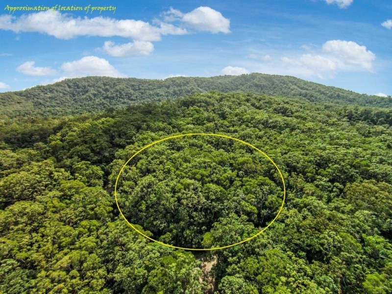 233 White Beech Rd, Daintree QLD 4873