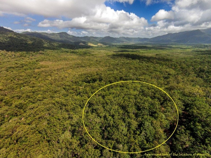 233 White Beech Rd, Daintree QLD 4873