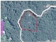 233 White Beech Rd, Daintree QLD 4873