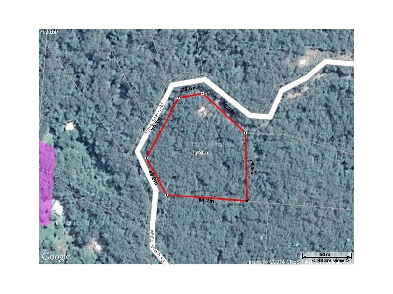 233 White Beech Rd, Daintree QLD 4873