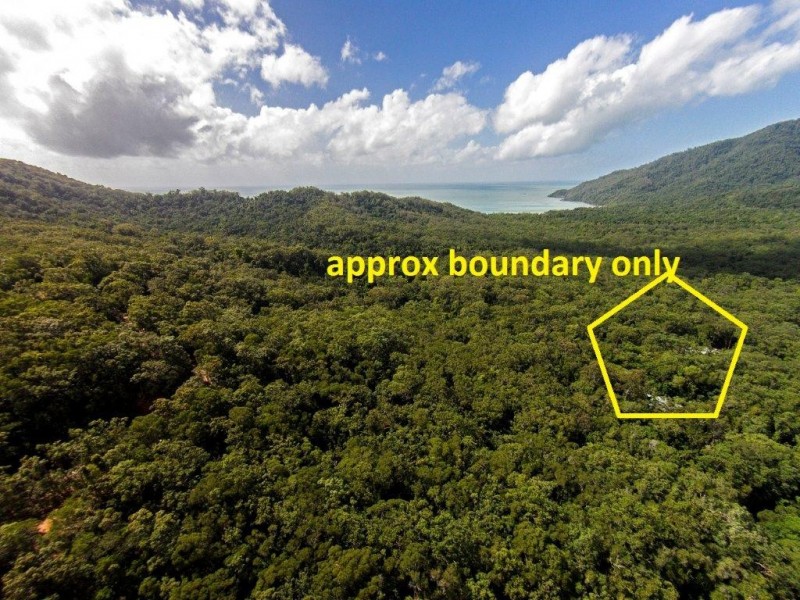 233 White Beech Rd, Daintree QLD 4873