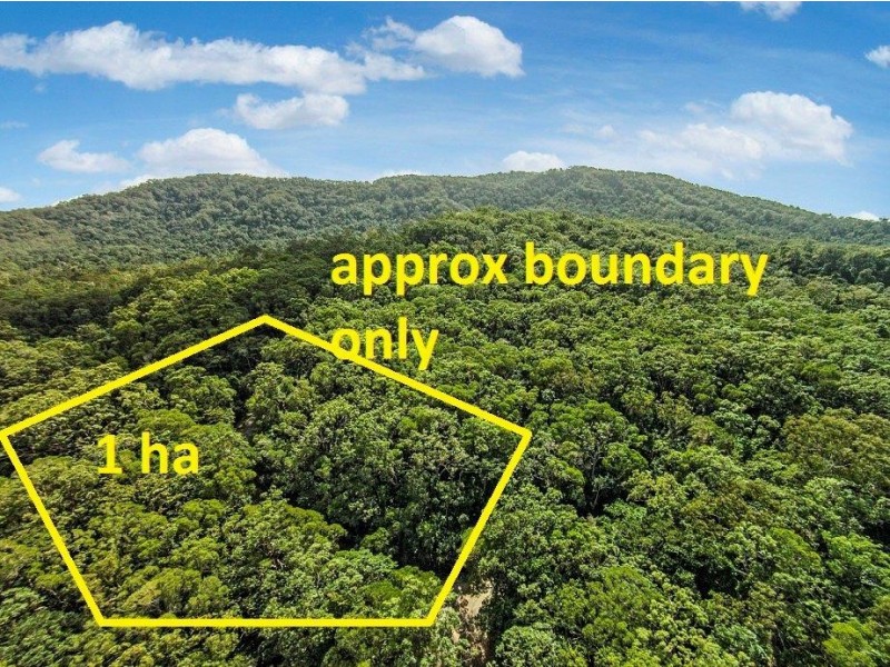 233 White Beech Rd, Daintree QLD 4873