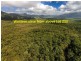 233 White Beech Rd, Daintree QLD 4873