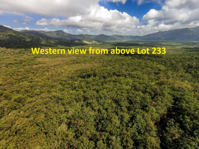 233 White Beech Rd, Daintree QLD 4873