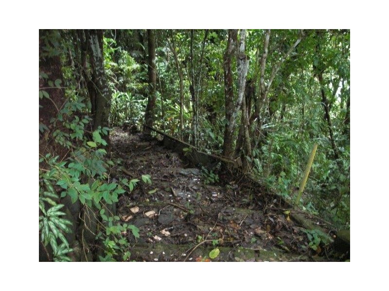 Lot 3 Stewart Creek Road (Daintree Village), Lower Daintree QLD 4873