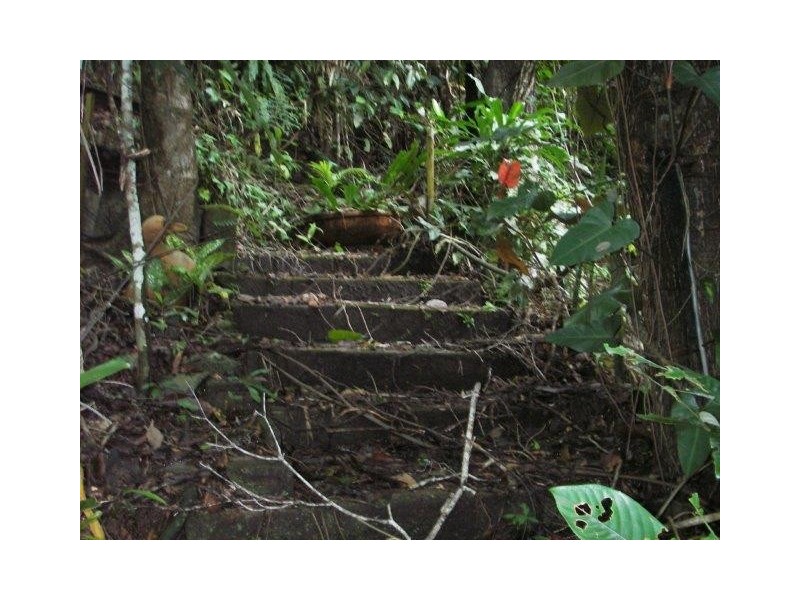Lot 3 Stewart Creek Road (Daintree Village), Lower Daintree QLD 4873