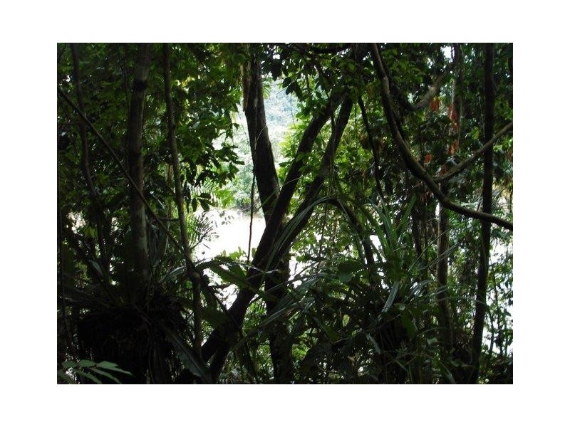 Lot 3 Stewart Creek Road (Daintree Village), Lower Daintree QLD 4873
