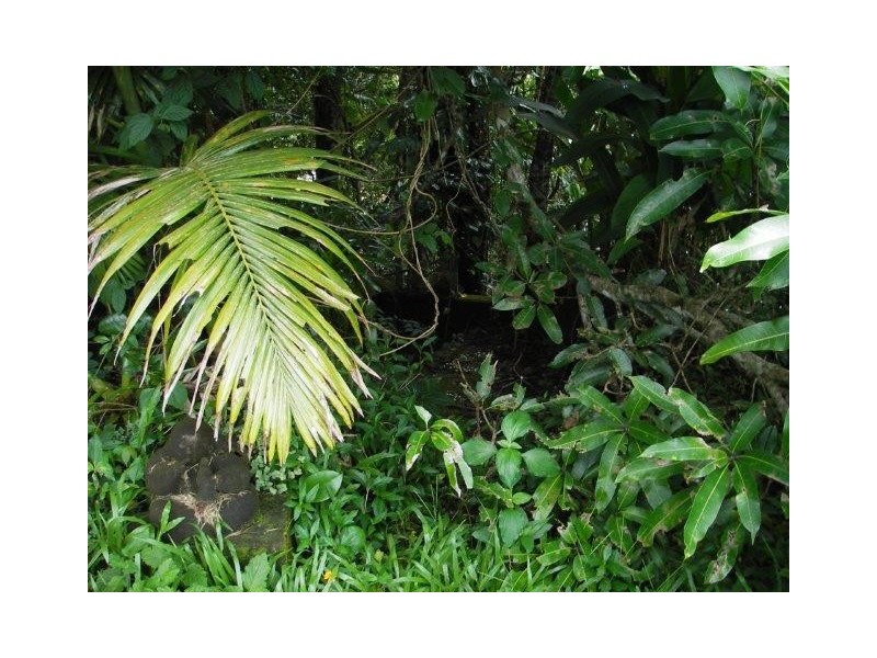 Lot 3 Stewart Creek Road (Daintree Village), Lower Daintree QLD 4873
