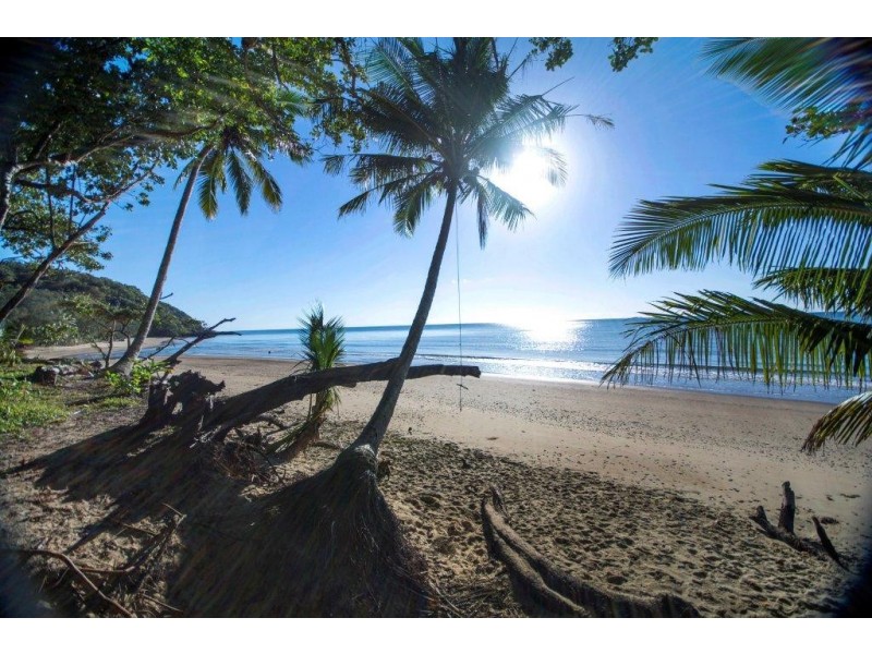 Daintree QLD 4873