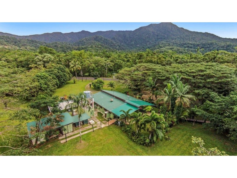 80 Cape Tribulation Road, Daintree QLD 4873