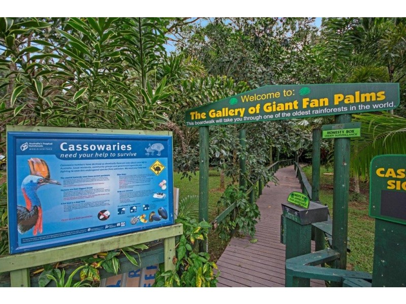 80 Cape Tribulation Road, Daintree QLD 4873