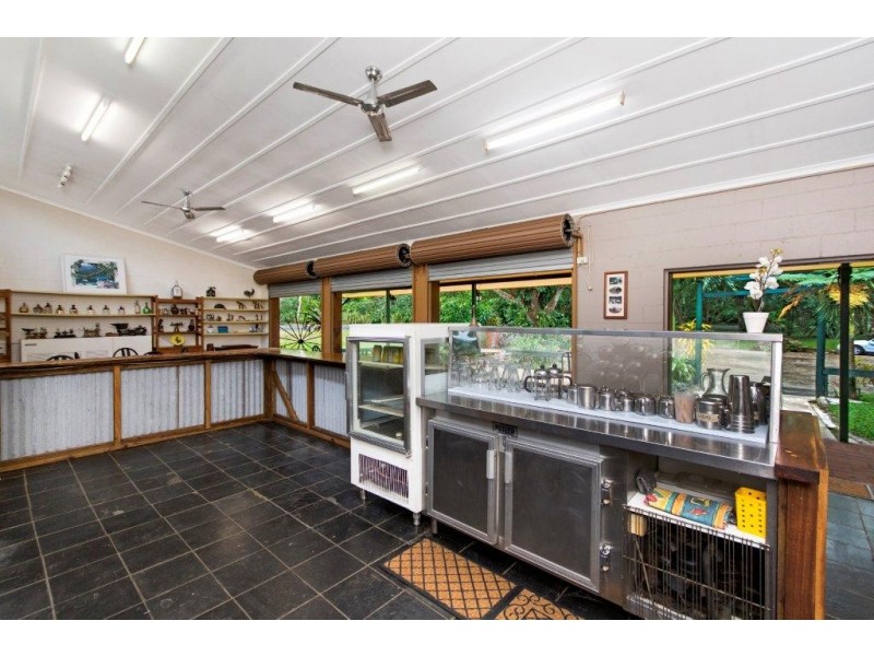 80 Cape Tribulation Road, Daintree QLD 4873