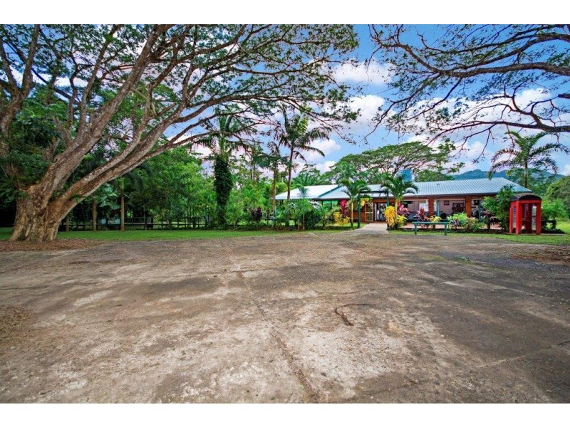 80 Cape Tribulation Road, Daintree QLD 4873