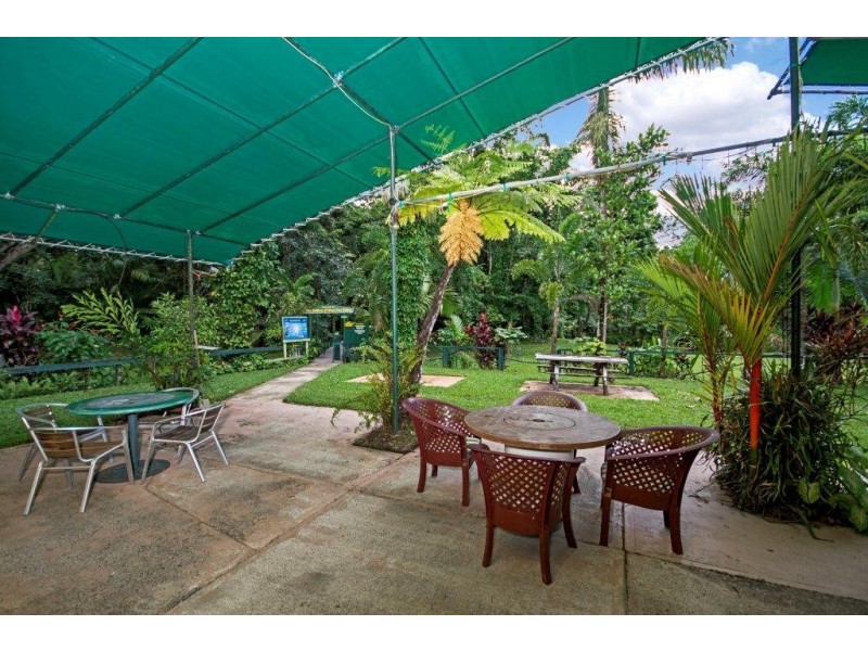 80 Cape Tribulation Road, Daintree QLD 4873