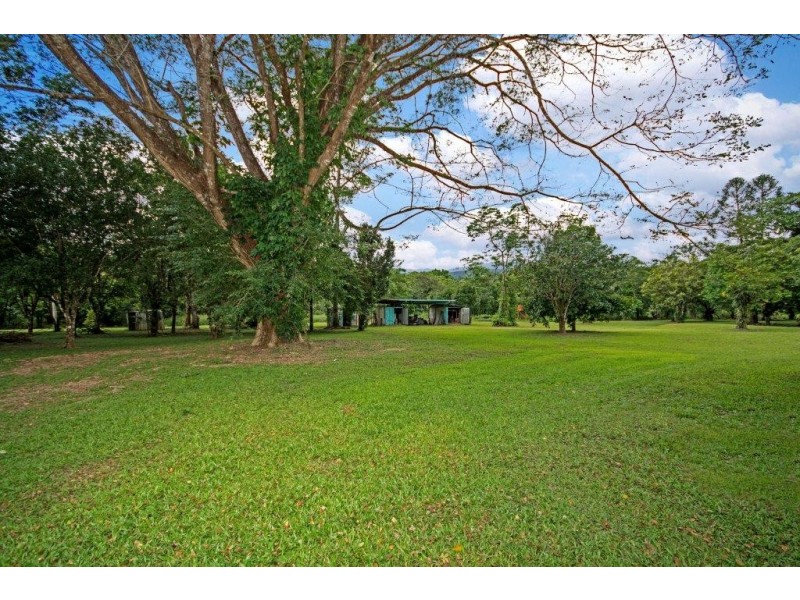 80 Cape Tribulation Road, Daintree QLD 4873