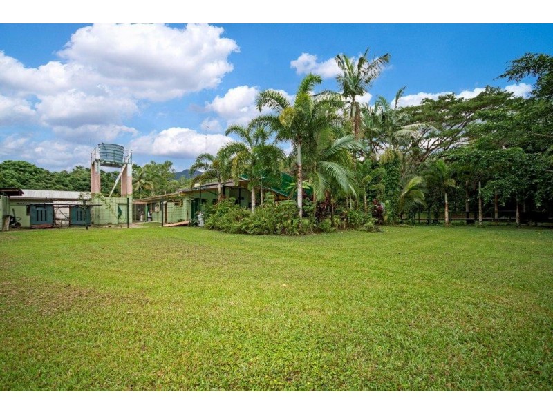80 Cape Tribulation Road, Daintree QLD 4873
