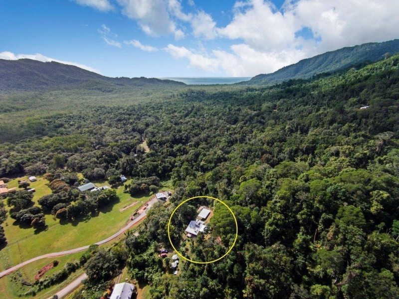 43 Spurwood Road COW BAY, Daintree QLD 4873