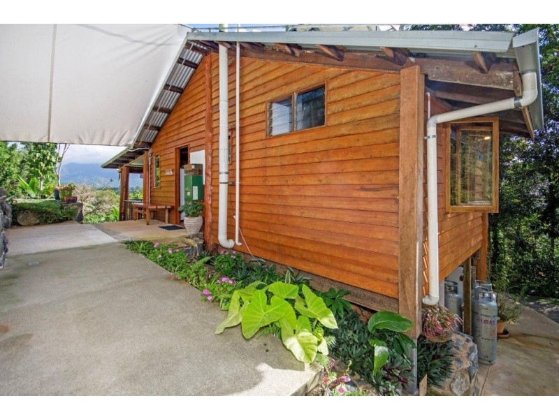 43 Spurwood Road COW BAY, Daintree QLD 4873