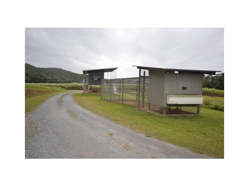 474 Syndicate Road, Miallo QLD 4873