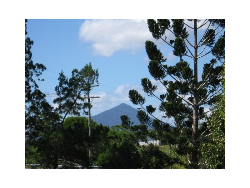 176 Euluma Creek Rd, Julatten QLD 4871