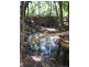 176 Euluma Creek Rd, Julatten QLD 4871