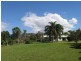 176 Euluma Creek Rd, Julatten QLD 4871