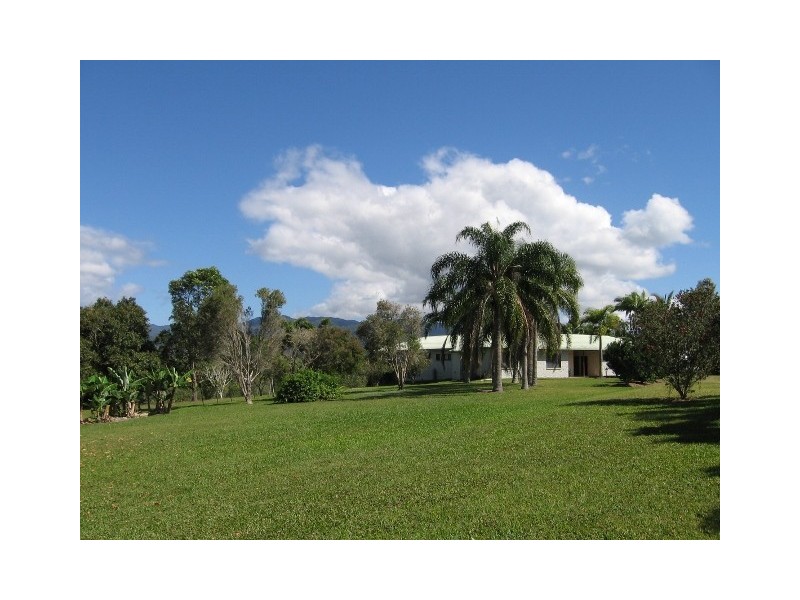 176 Euluma Creek Rd, Julatten QLD 4871